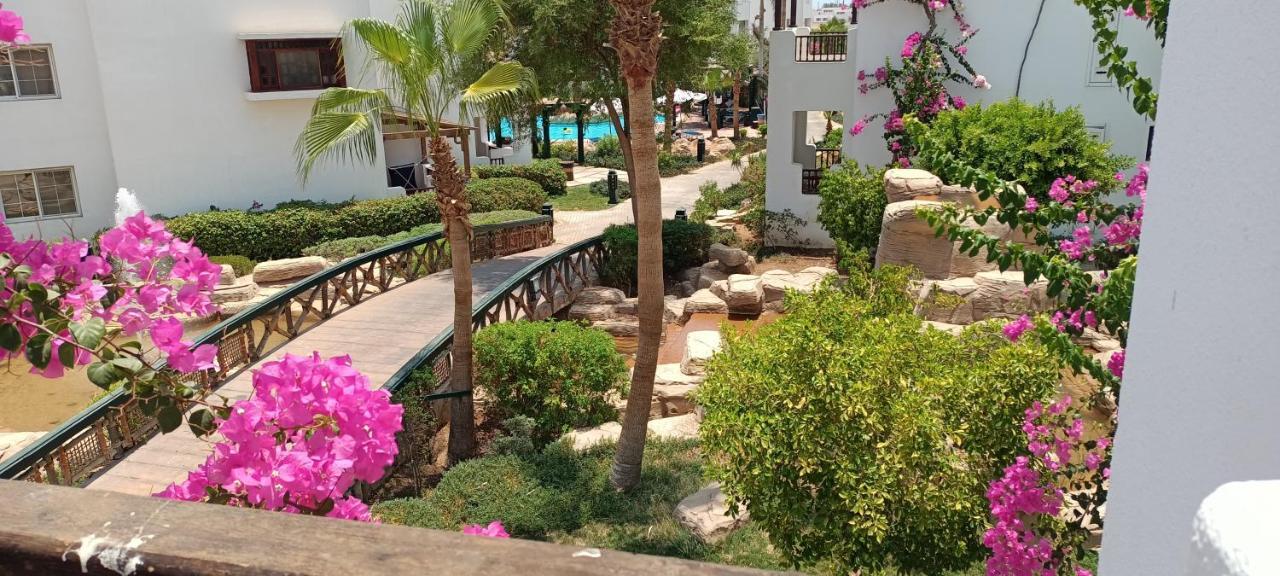 Deluxe Apartment Delta Sharm المظهر الخارجي الصورة