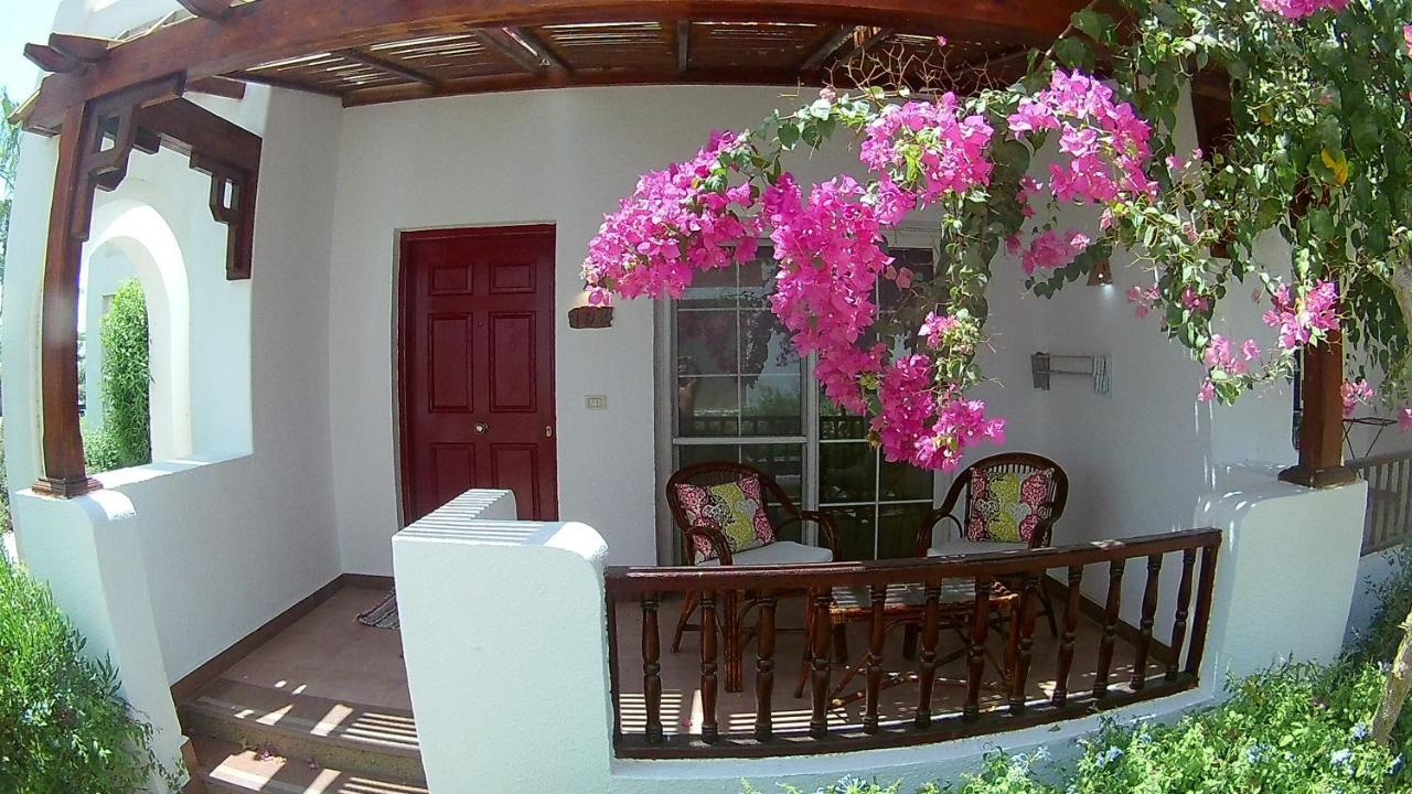 Deluxe Apartment Delta Sharm المظهر الخارجي الصورة